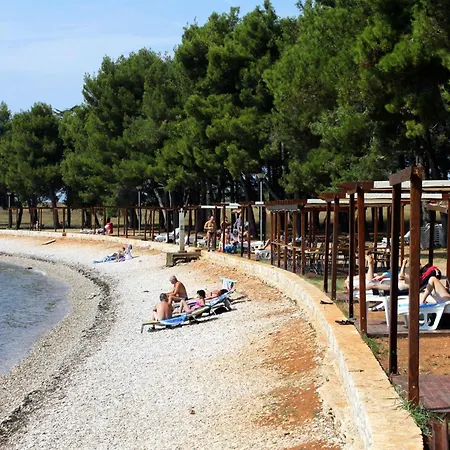 Family-friendly With Swimming Pool Novigrad - 25170