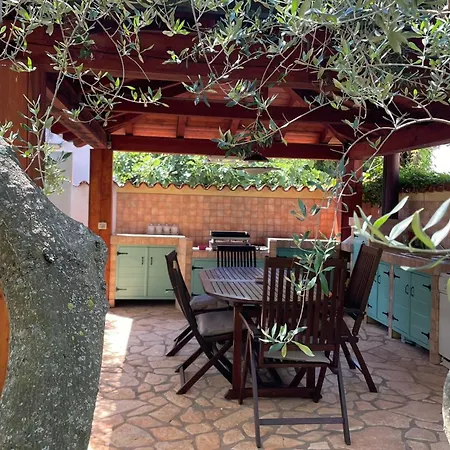 Family-friendly With Swimming Pool Novigrad - 25170 Apartment
